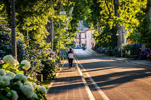 Forno Elétrico Fischer Turbo Fast 80 Litros